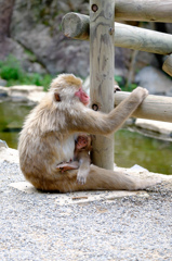 うとうと