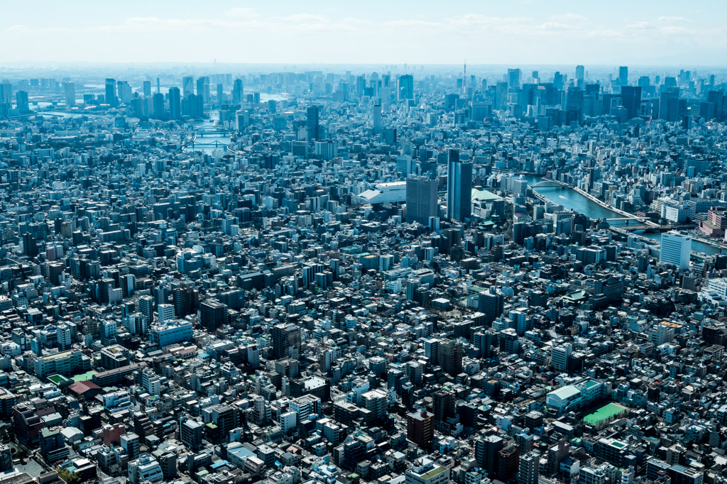 東京昼景