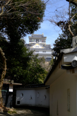 岐阜城を