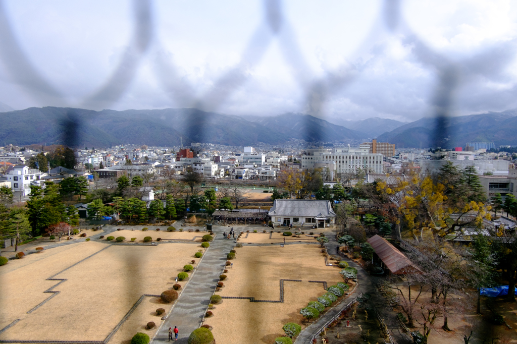 網越しの景色