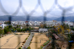 網越しの景色