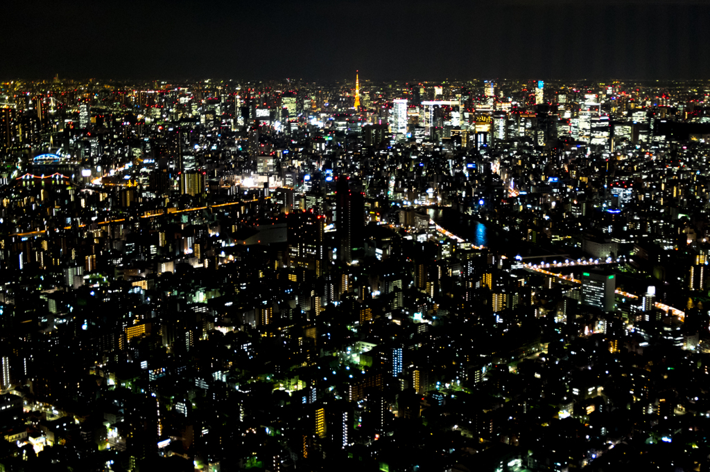 遠くに東京タワー
