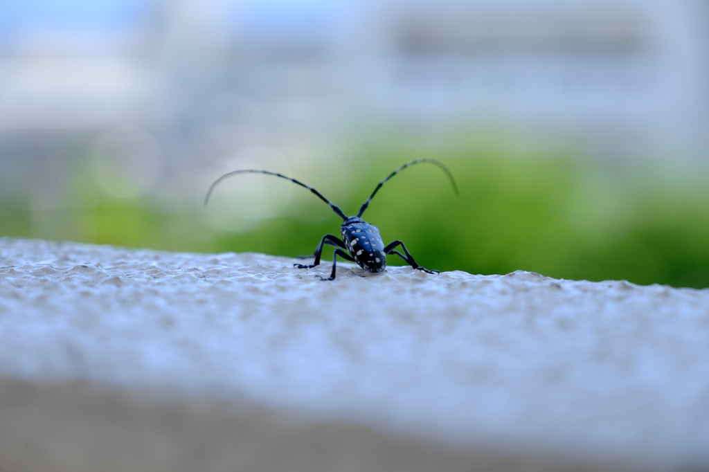 飛び立つ勇気