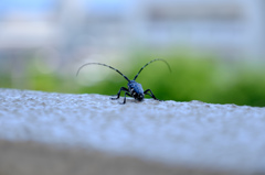 飛び立つ勇気