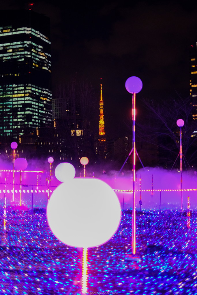 遠くの東京タワー