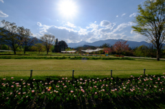 公園