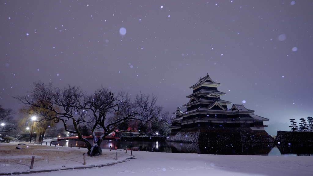 また雪