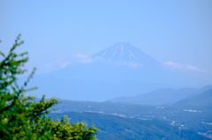 富士を望む