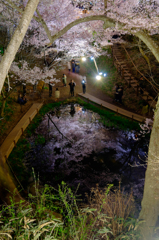 映る池