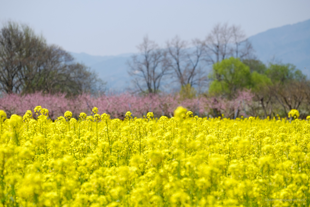 犀川河川敷