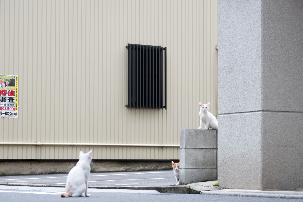 親子かな