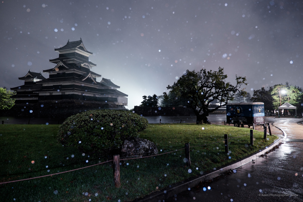 雨の朝