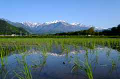 爺ヶ岳？と水田