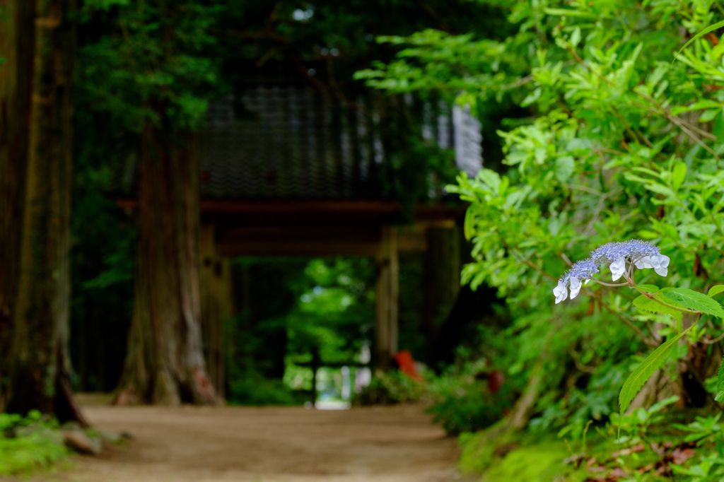 青原寺参道