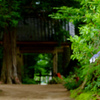 青原寺参道