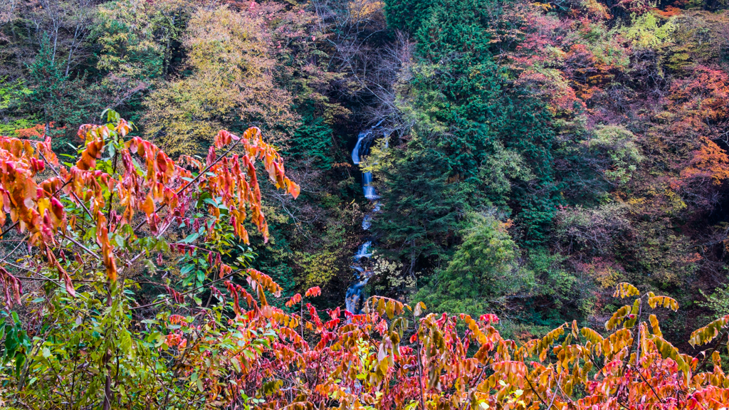 大水沢の滝