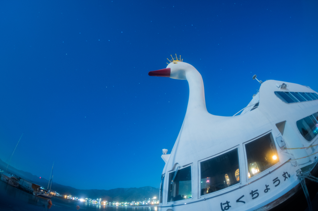 白鳥丸
