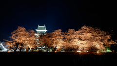 桜越しの城