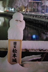 埋もれる眼鏡