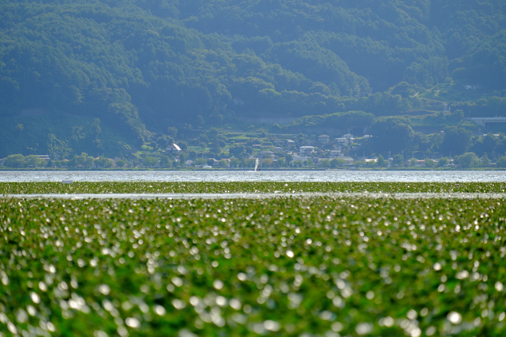 遠～くに