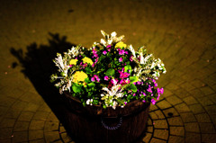 花