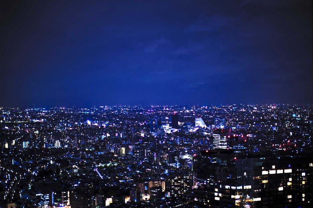 夜景