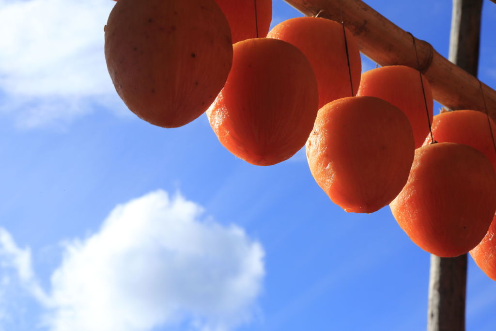 太陽の光を受けて。