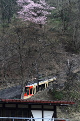 立山駅は春景色