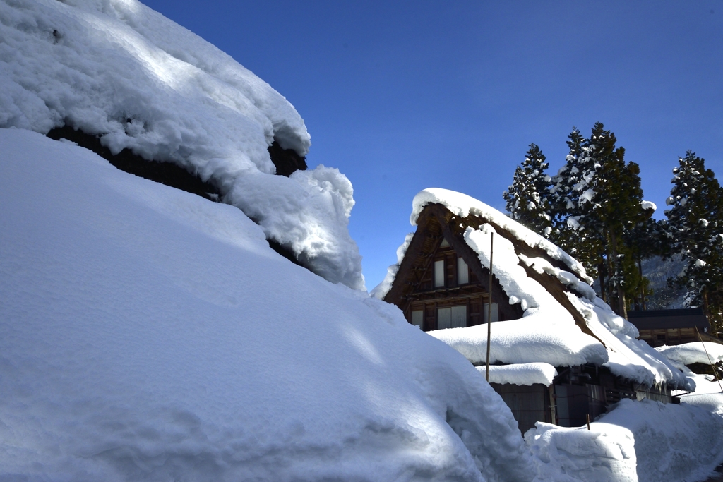 合掌の雪