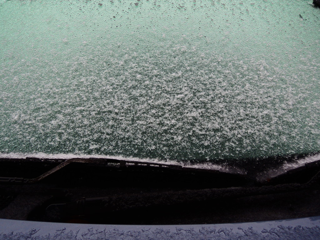 初雪の便り