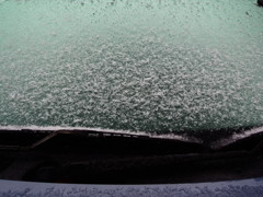 初雪の便り