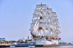 帆船の魅力