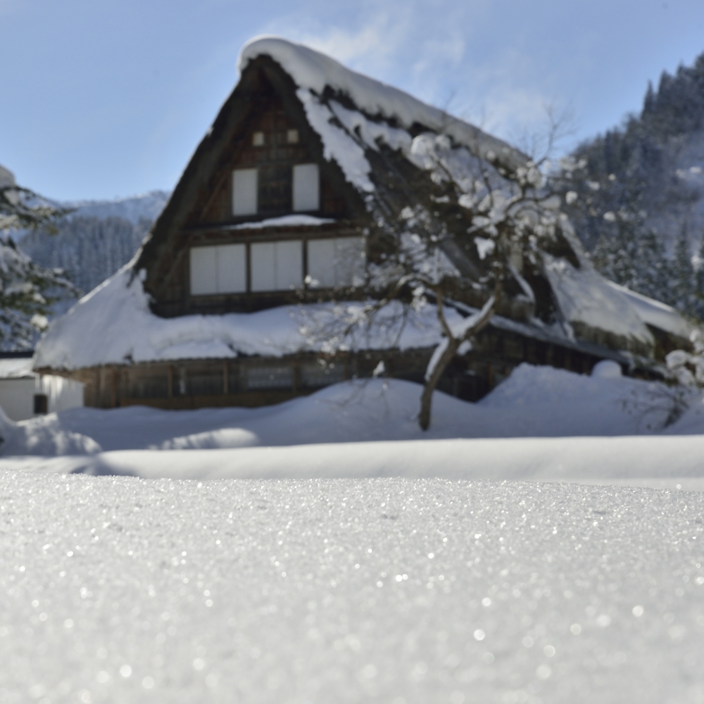 雪がキラキラ