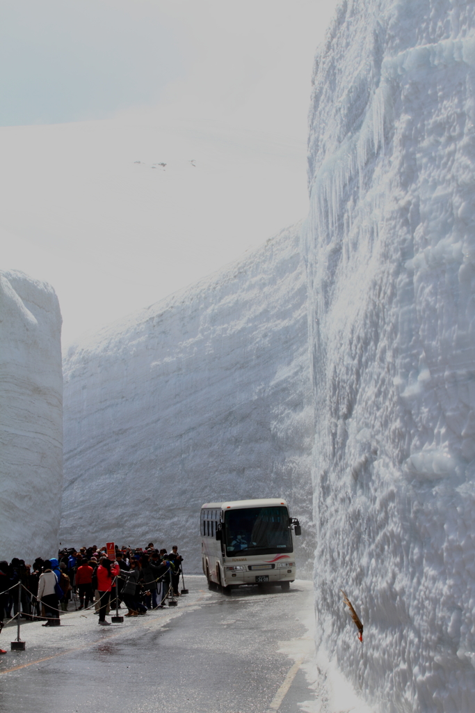 雪の大谷