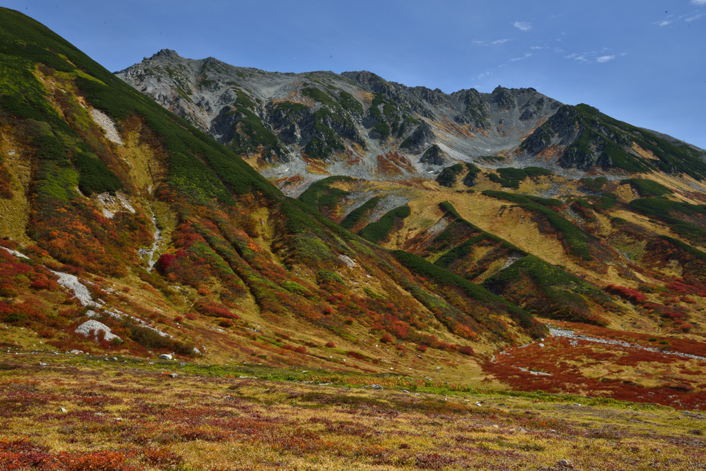 紅葉の立山