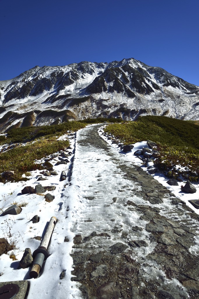 立山への道