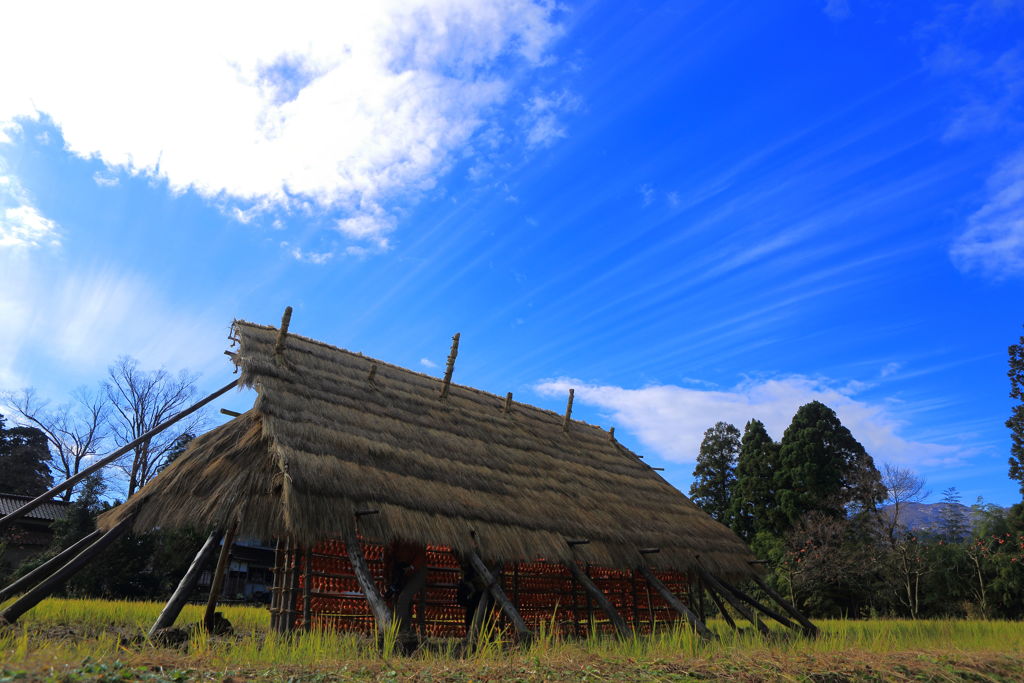 南砺の干し柿