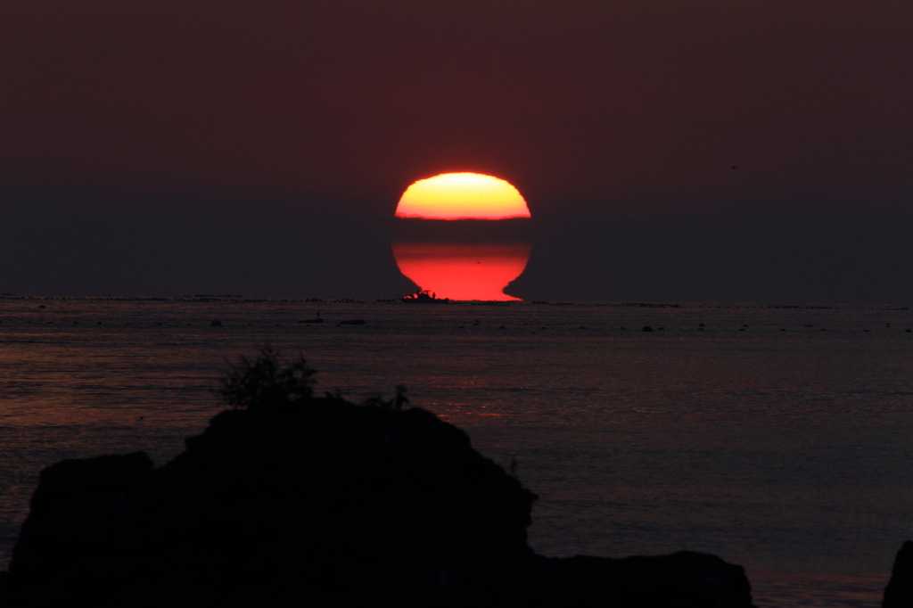 だるま太陽
