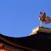 屋上の鳳凰像