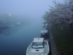 霧の中の内川