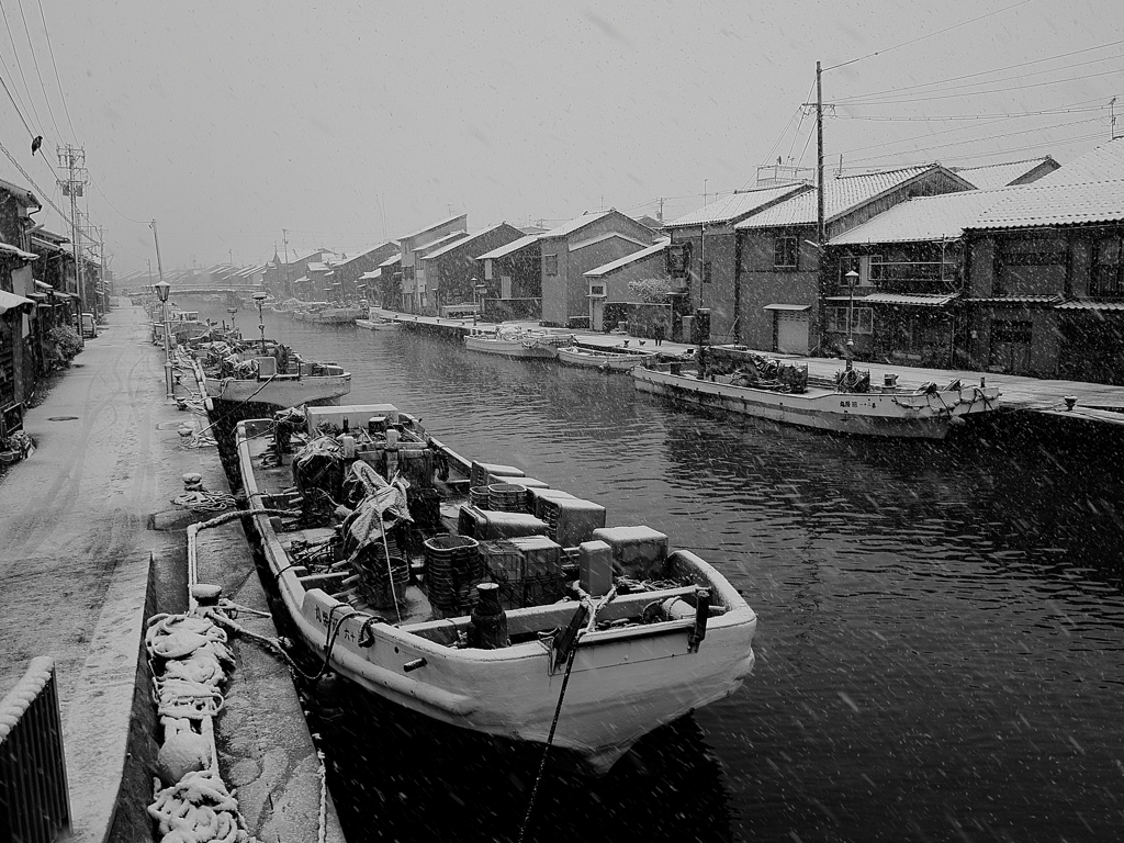 内川の雪景色