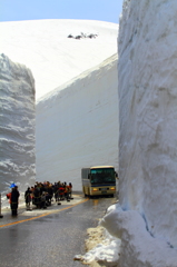 雪の壁をぬって