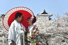 桜浪漫　in　KANAZAWA