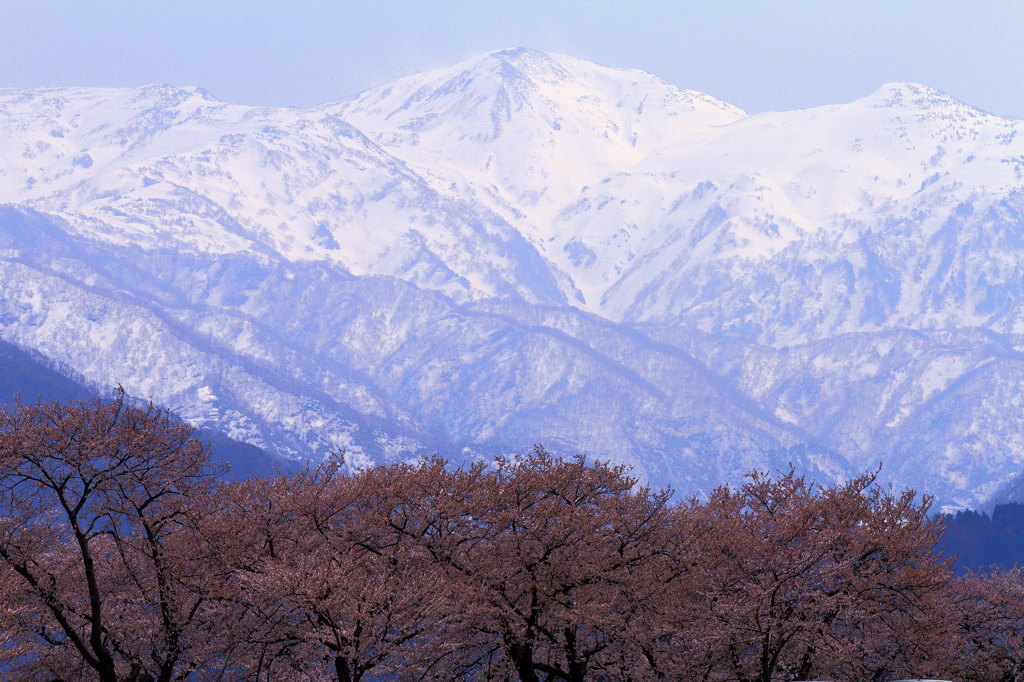 朝日岳を望む