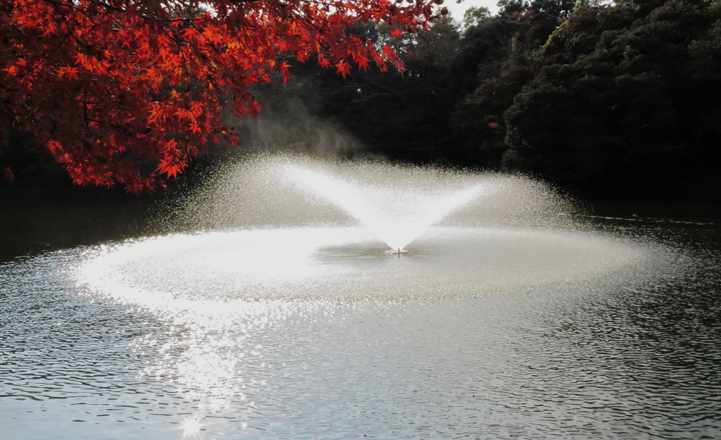 高岡古城公園の紅葉狩り