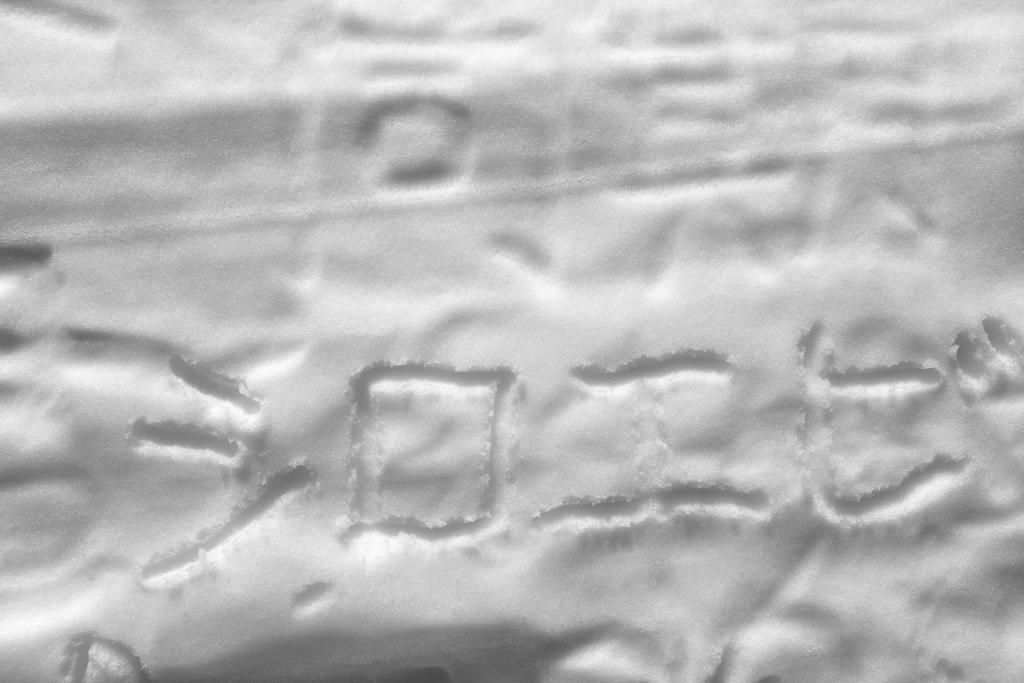 雪壁に刻む