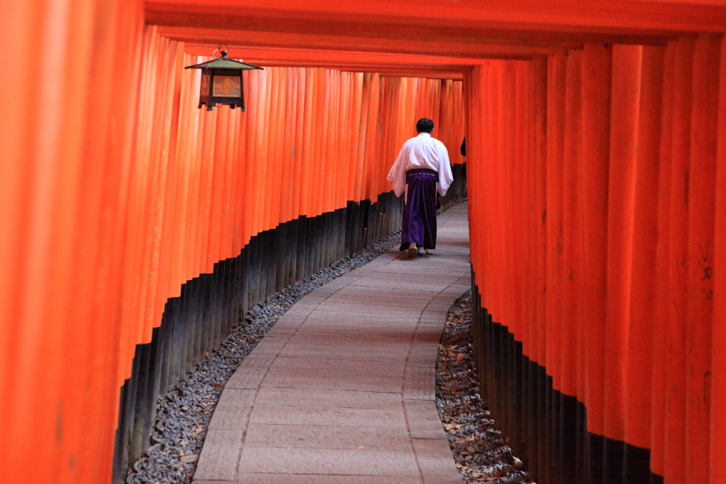 千本鳥居を進む