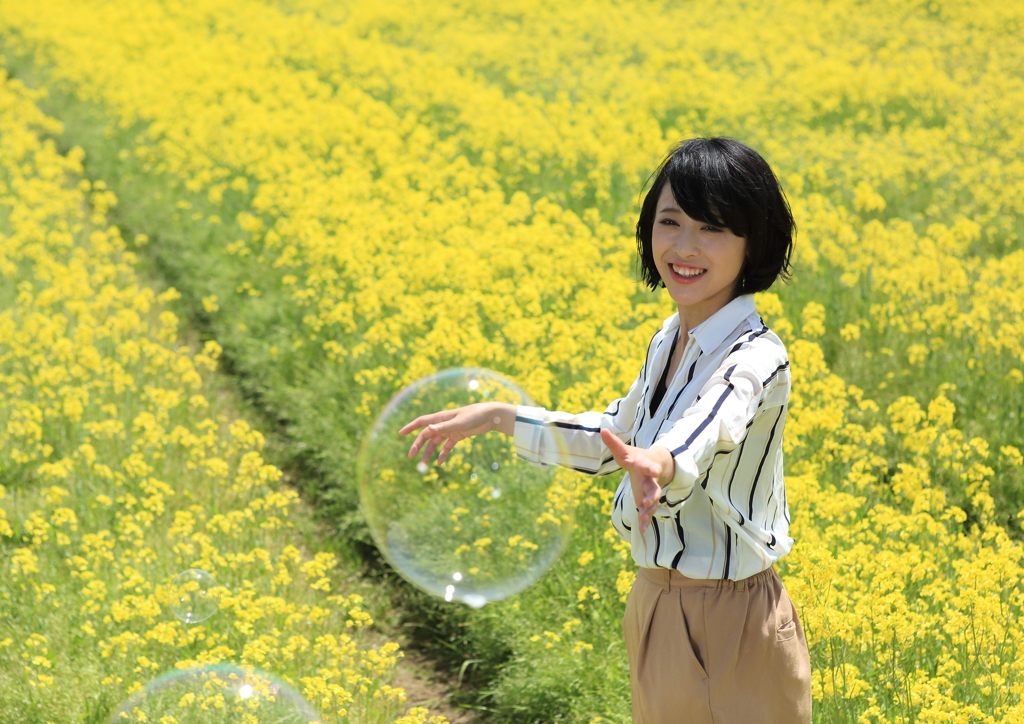 菜の花畑で