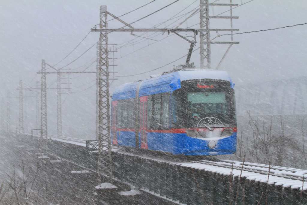 雪のドラえもんトラム By シロエビ Id 写真共有サイト Photohito