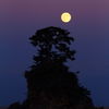 夕暮れの中秋の月
